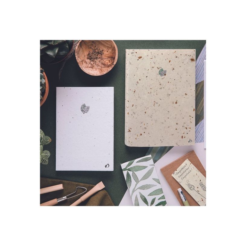 3371010489794-Quo Vadis Pure - Carnet de notes - 16 x 24 cm - ligné - différents modèles disponibles-P_405115031_3-1