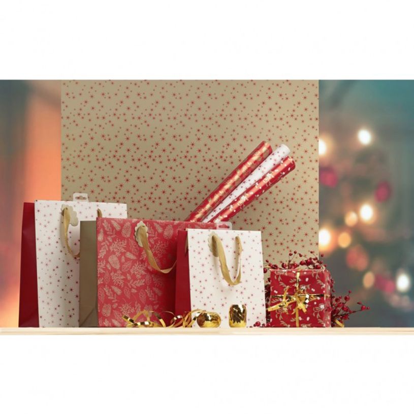 3329682020739-Clairefontaine Excellia Christmas - Papier cadeau - 70 cm x 2 m - pomme d'amour - différe-P_405115502_4-3