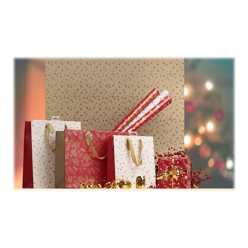 3329682020739-Clairefontaine Excellia Christmas - Papier cadeau - 70 cm x 2 m - pomme d'amour - différe-P_405115502_5-4