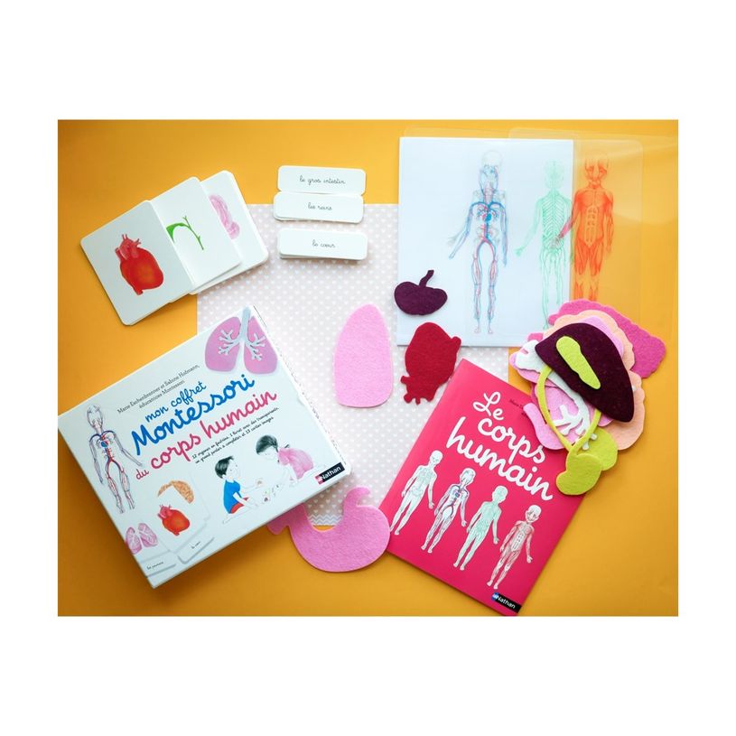 9782092789216-Mon coffret Montessori du corps humain-P_405116283_3-2