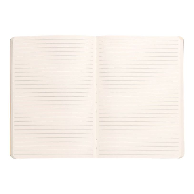 3037921173701-RHODIA Rhodiarama - cahier de notes - A5 - 80 feuilles-P_405116587_1-1
