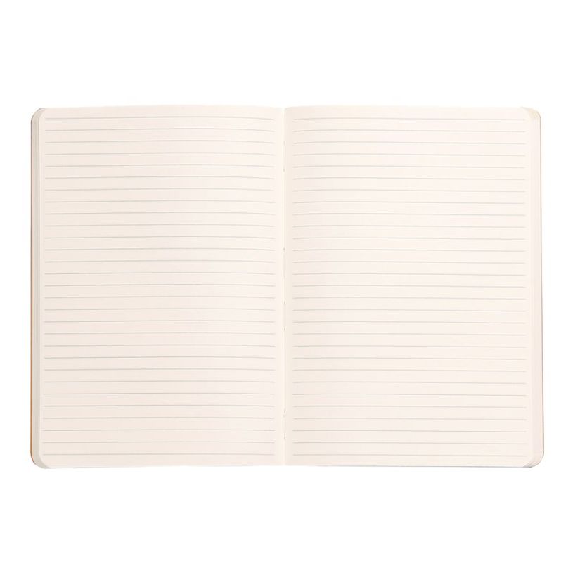 3037921173725-RHODIA Rhodiarama - cahier de notes - A5 - 80 feuilles-P_405116589_1-1