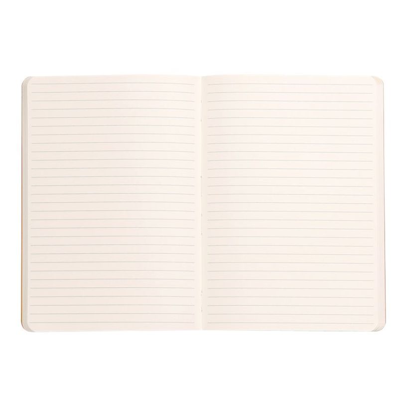 3037921173794-RHODIA-P_405116628_6-5