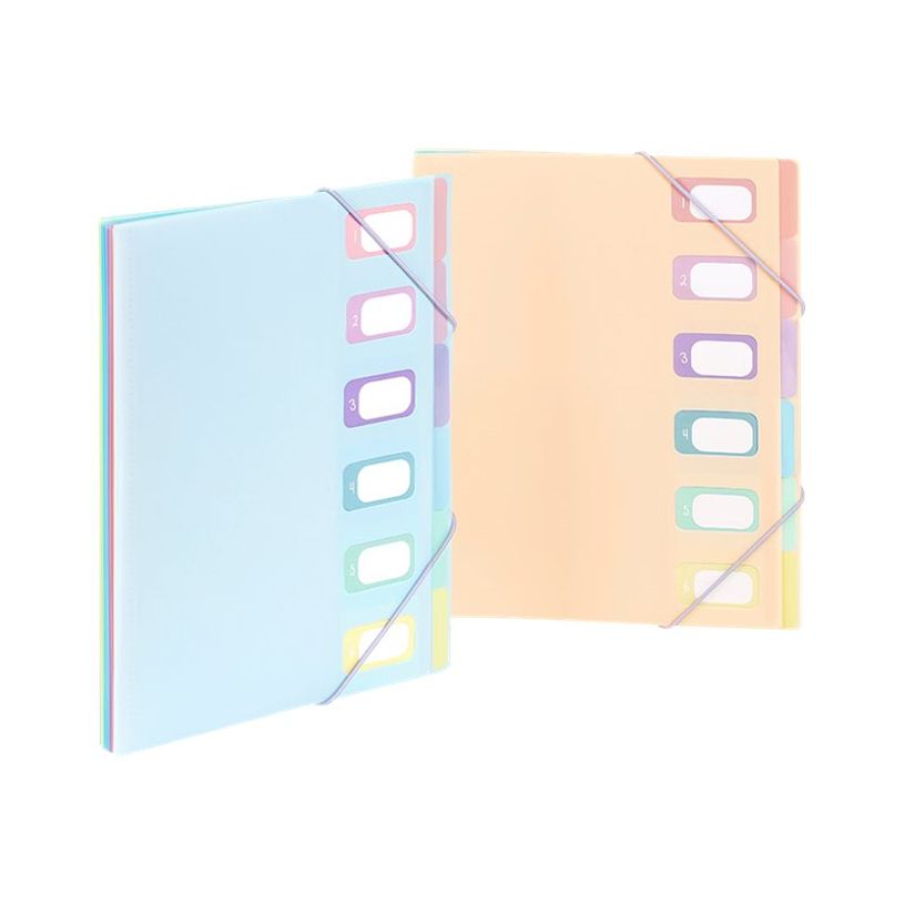 3135250991109-Viquel Rainbow Pastel - Trieur extensible 6 positions - disponible dans différentes coule-P_405117629_1-0