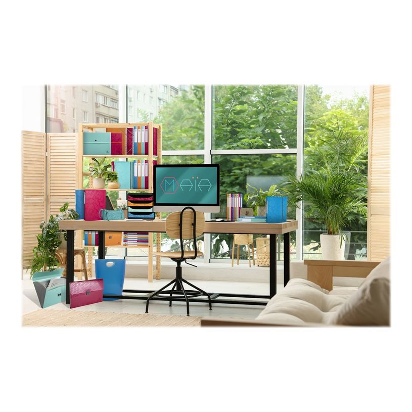 3130630592105-Exacompta MAÏA - Boîte de classement plastique - dos 40 mm - disponible dans différen-P_405117630_14-13