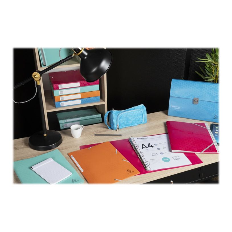 3130630512103-Exacompta MAÏA - Classeur à anneaux - Dos 20 mm - A4 - pour 140 feuilles - disponible -P_405117633_20-18