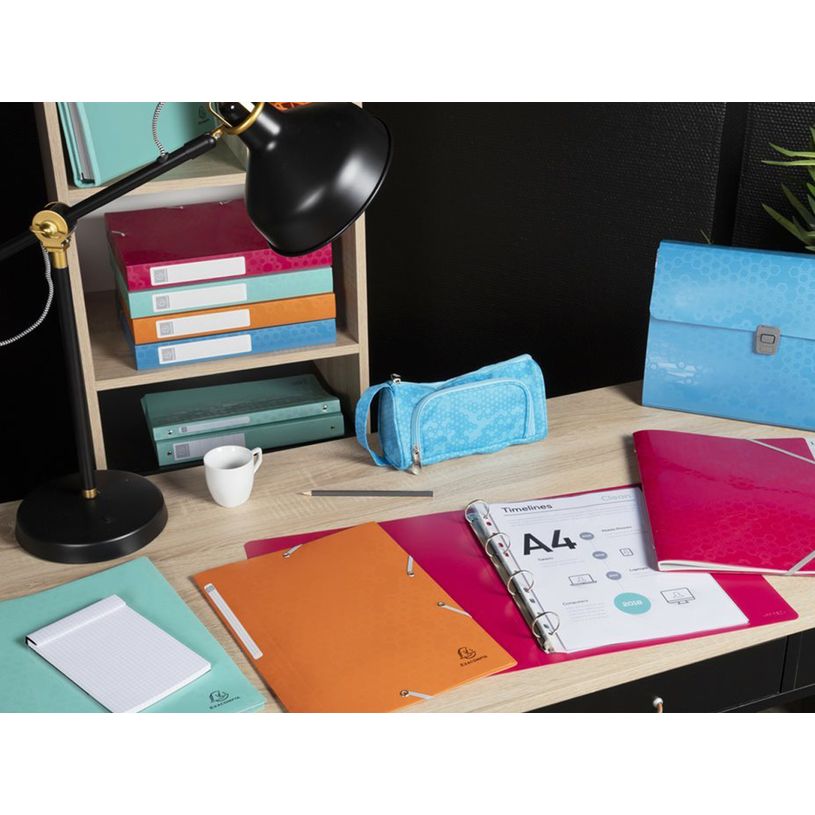 3130630514107-Exacompta MAÏA - Classeur à anneaux - Dos 40 mm - A4+ - pour 275 feuilles - disponible-P_405117634_11-10