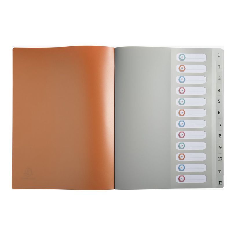 3130630583103-Exacompta MAÏA - Trieur 12 positions - disponible dans différentes couleurs-P_405117638_2-1