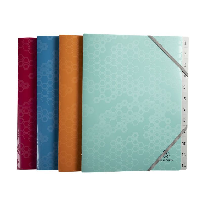 3130630583103-Exacompta MAÏA - Trieur 12 positions - disponible dans différentes couleurs-P_405117638_5-4
