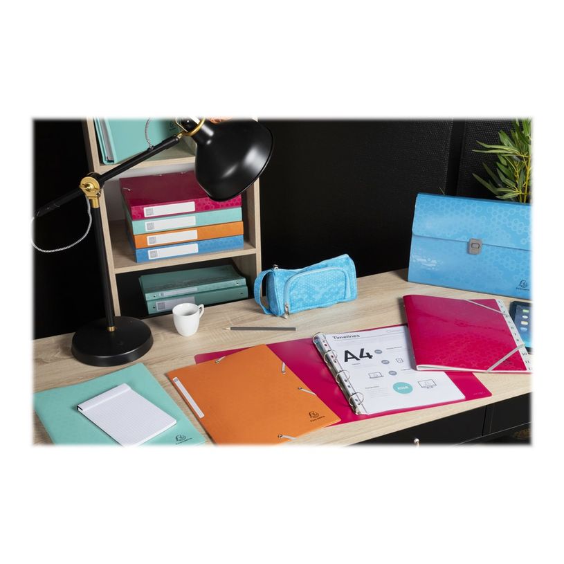 3130630887201-Exacompta MAÏA - Porte vues recyclé - 40 vues - A4 - disponible dans différentes coul-P_405117650_15-14