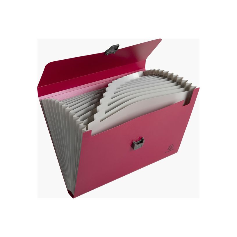 3130630584100-Exacompta MAÏA - Trieur valisette à soufflet 13 positions - disponible dans différentes-P_405117655_2-3