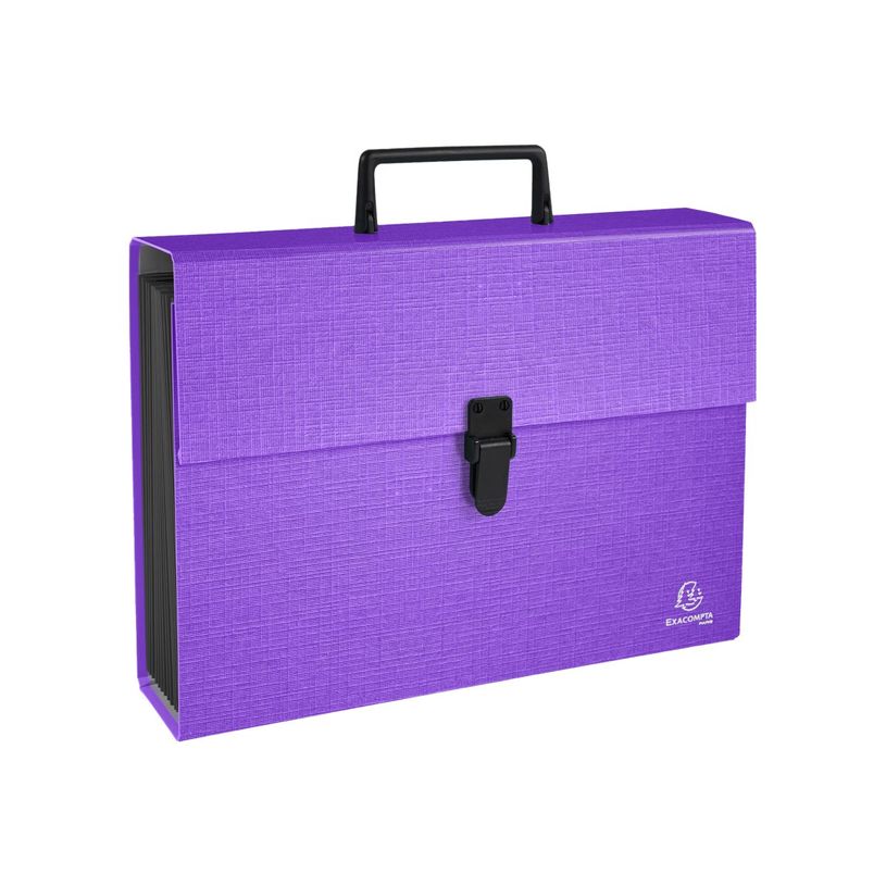 3130630567509-Exacompta Teksto - Valisette trieur à soufflet 18 compartiments - A4 - pour 540 feuilles - disponi-P_405117656_9-4