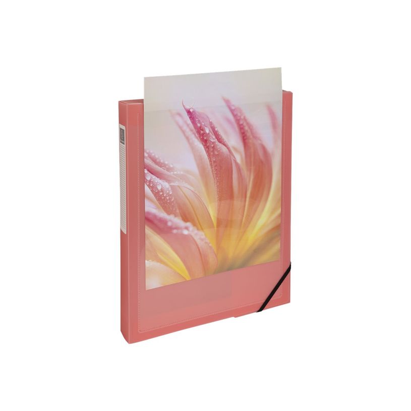 3130630592792-Exacompta Kreacover Pastel - Boîte de classement personnalisable - dos 40 mm - disponible dans-P_405117669_9-8