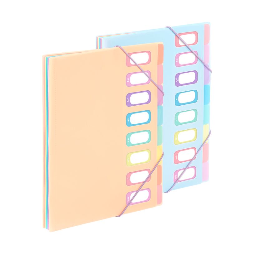 3135259811156-Viquel Rainbow Pastel - trieur à soufflet - 8 positions - pour A4 - à onglets - disponible en différ--0
