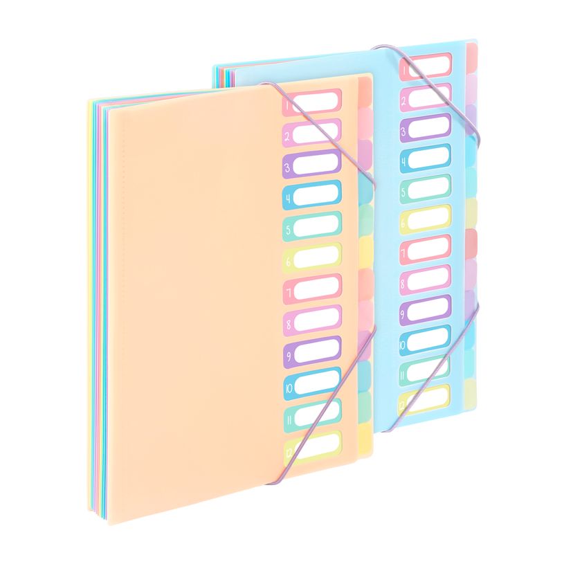 3135259881159-Viquel Rainbow Pastel - trieur à soufflet -  12 positions - pour A4 - à onglets - disponible en diff
