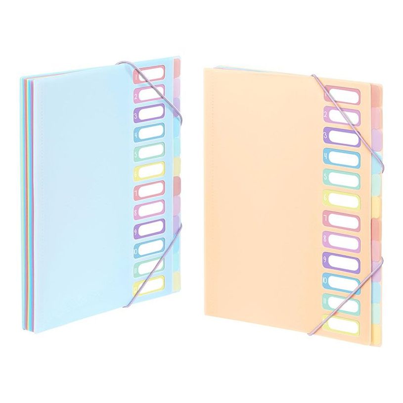 3135259881159-Viquel Rainbow Pastel - trieur à soufflet - pour A4 - à onglets - disponible en différe-P_405118854_1-0