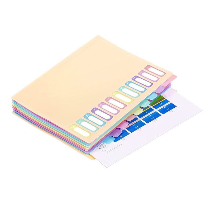 3135259881159-Viquel Rainbow Pastel - trieur à soufflet - pour A4 - à onglets - disponible en différe-P_405118854_5-4