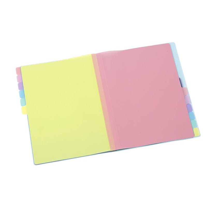 3135259881159-Viquel Rainbow Pastel - trieur à soufflet - pour A4 - à onglets - disponible en différe-P_405118854_6-5