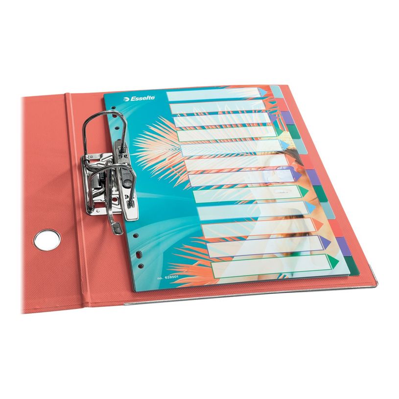 4049793076485-Esselte Colour'Breeze - Intercalaire 12 positions - A4 - polypropylène multicolore-P_405118923_3-1