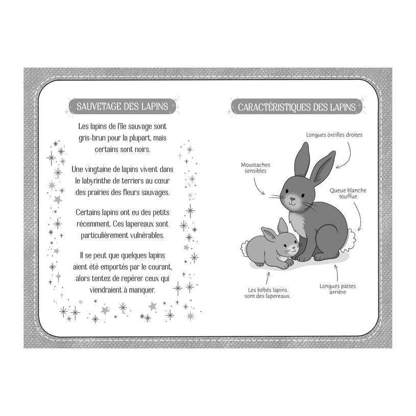 9781801319997-A la rescousse des lapins (T10)-P_405119416_4-4