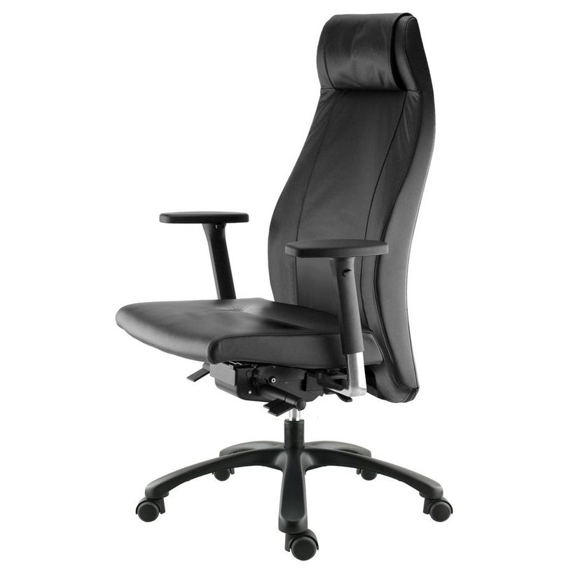 3660916008926-Fauteuil de bureau GOXOA - accoudoirs réglables - appui-tête intégré - cuir noir-P_405119679_2-1