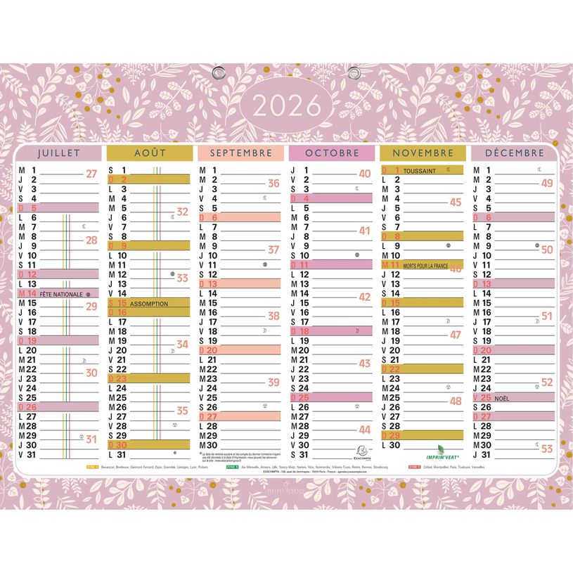 3660942079020-Calendrier Mini Labo - 6 mois par face - 43 x 33,5 cm - Exacompta--1