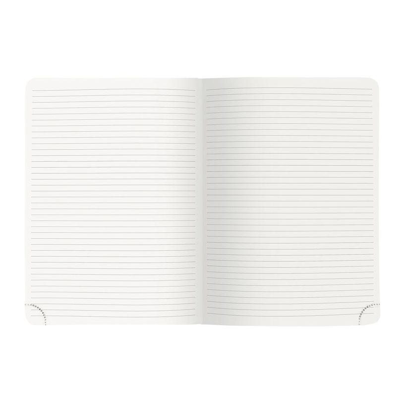 3660942176460-Notebook Mini Labo - 15 x 21 cm - Exacompta-P_405120020_4-3