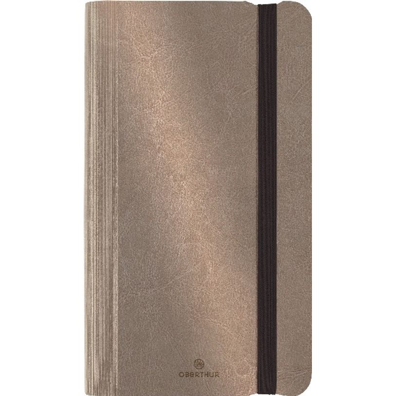 3664447129860-Agenda de poche Medicis - 1 semaine sur 2 pages - 9,5 x 17,5 cm - perle métallisé - Ober-P_405120300_1-0