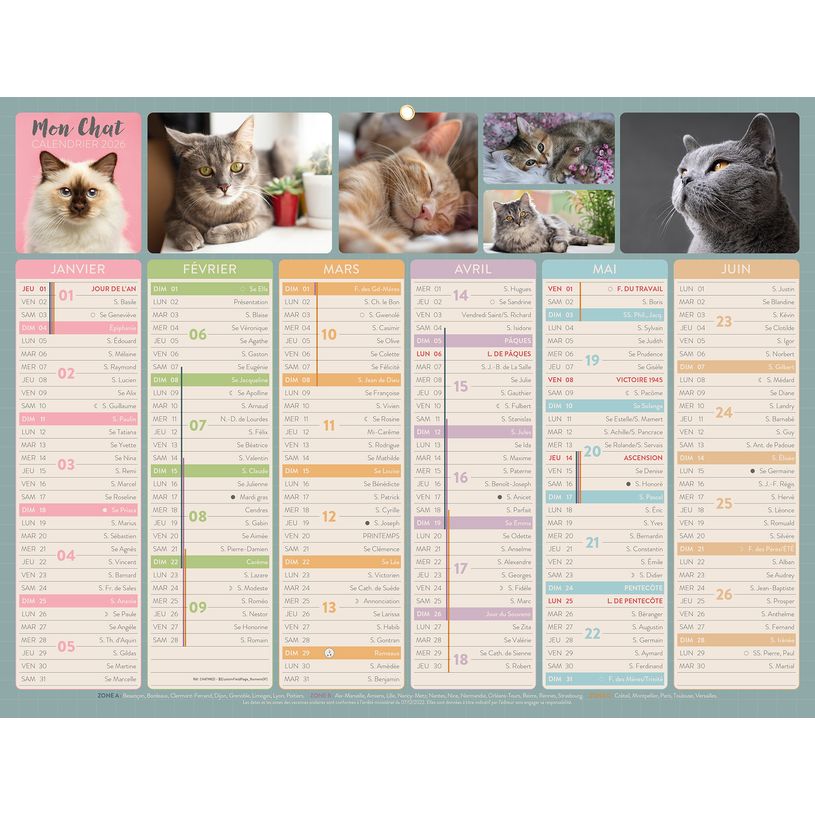 3592930026740-Calendrier bancaire illustré année civile BOUCHUT "Chat Medium" 32 x 42 cm Pefc 70 %--0