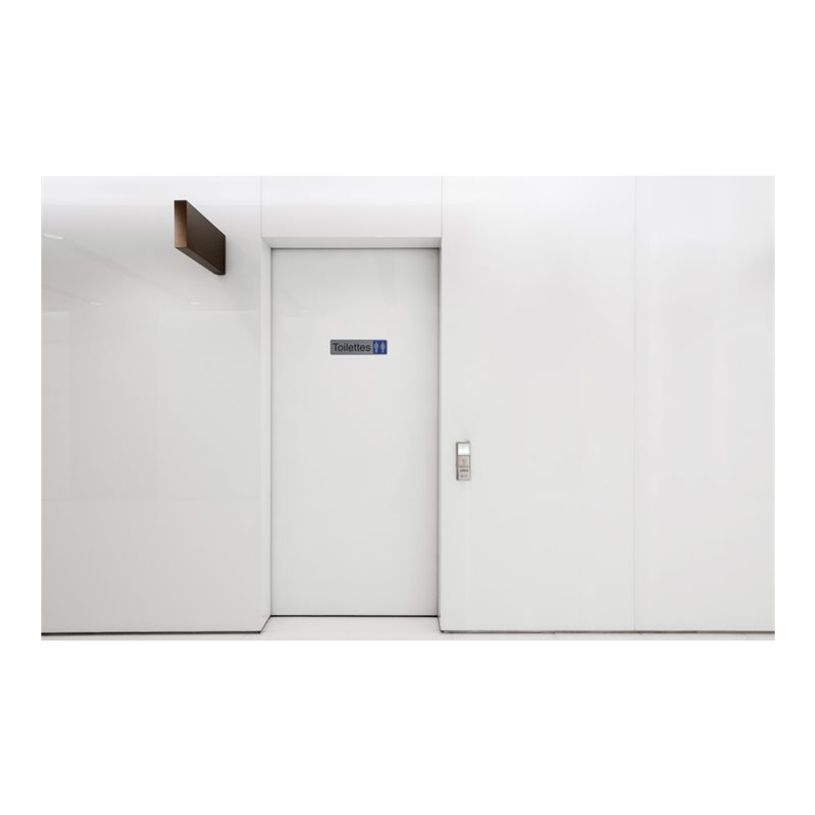 3130630671510-Exacompta - Pictogramme - Toilettes dame - 44 x 165 mm - aluminium brossé-P_405121389_2-1