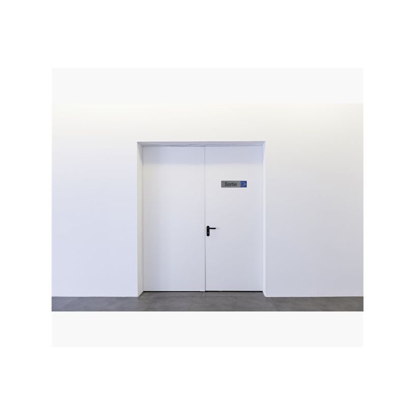 3130630671732-Exacompta - Pictogramme - Sortie - 44 x 165 mm - aluminium brossé-P_405121411_2-1