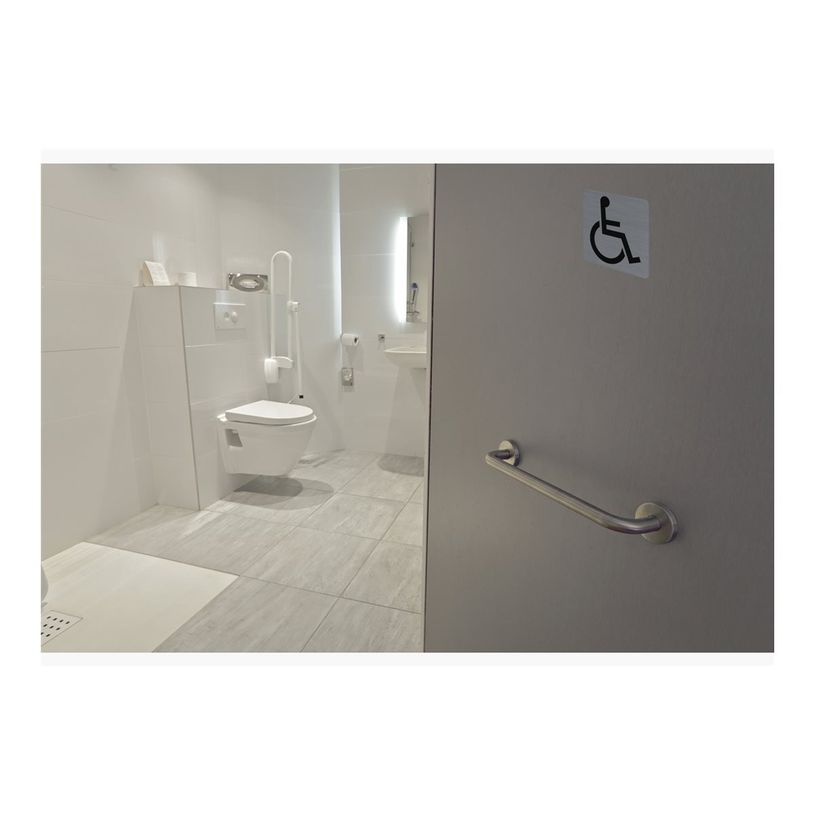 3130630671916-Exacompta - Pictogramme - Handicapés - 75 x 75 mm - aluminium brossé-P_405121419_3-1