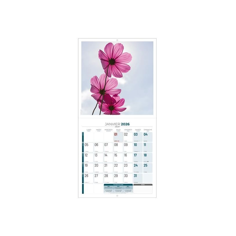 3592930027273-Calendrier illustré BOUCHUT 15 x 15 cm FLEURS Pefc 70 %-P_405121457_1-4