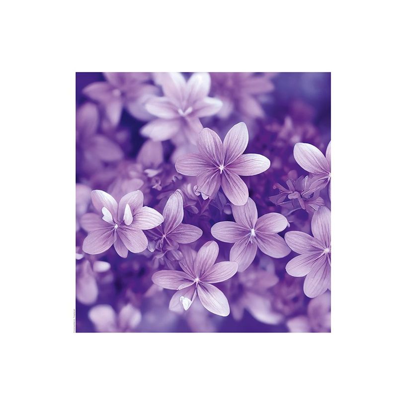 3592930027273-Calendrier illustré BOUCHUT 15 x 15 cm FLEURS Pefc 70 %-P_405121457_12-10