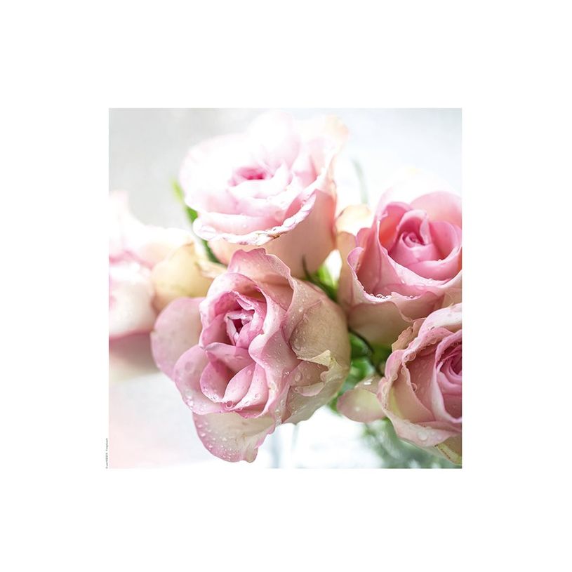 3592930027273-Calendrier illustré BOUCHUT 15 x 15 cm FLEURS Pefc 70 %-P_405121457_7-16