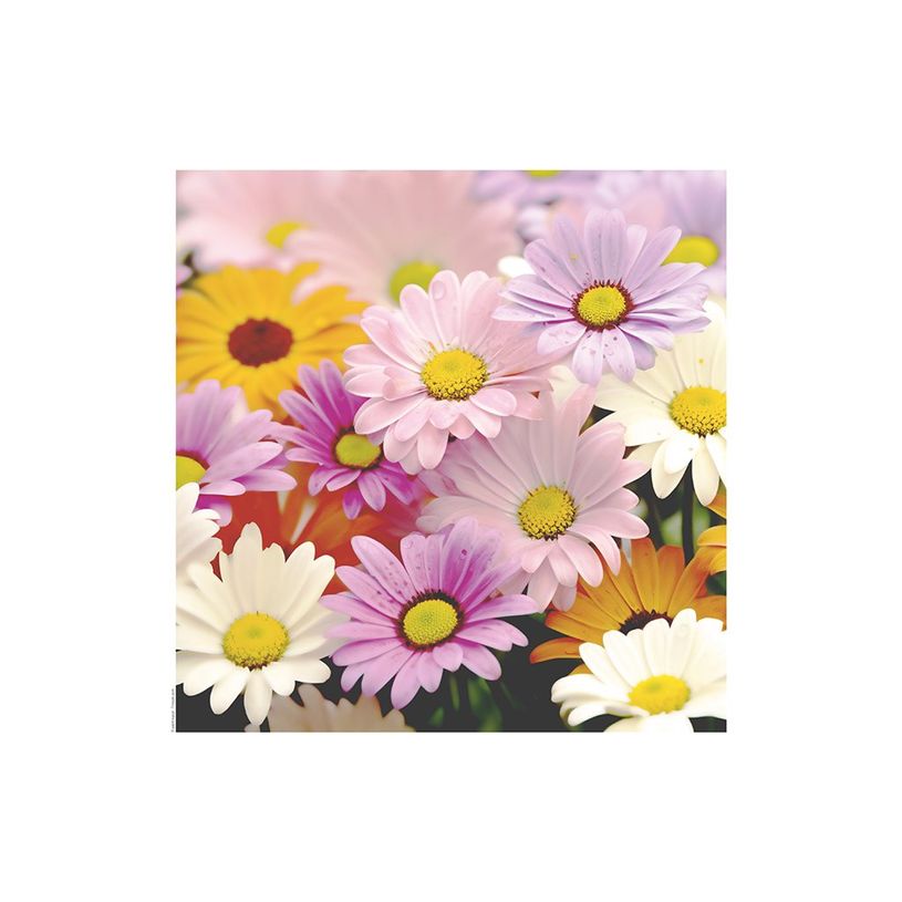 3592930027273-Calendrier illustré BOUCHUT 15 x 15 cm FLEURS Pefc 70 %-P_405121457_9-7
