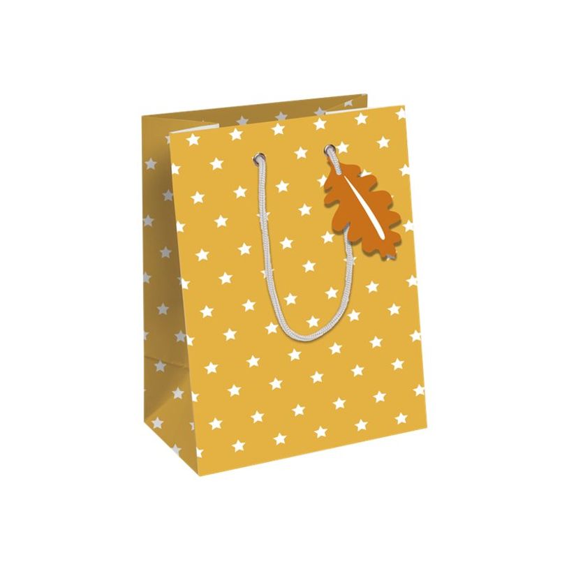 5033601004844-Clairefontaine - Sac cadeau - fox multicolore - 21,5 cm x 10,2 cm x 25,3 cm-P_405124571_1-0