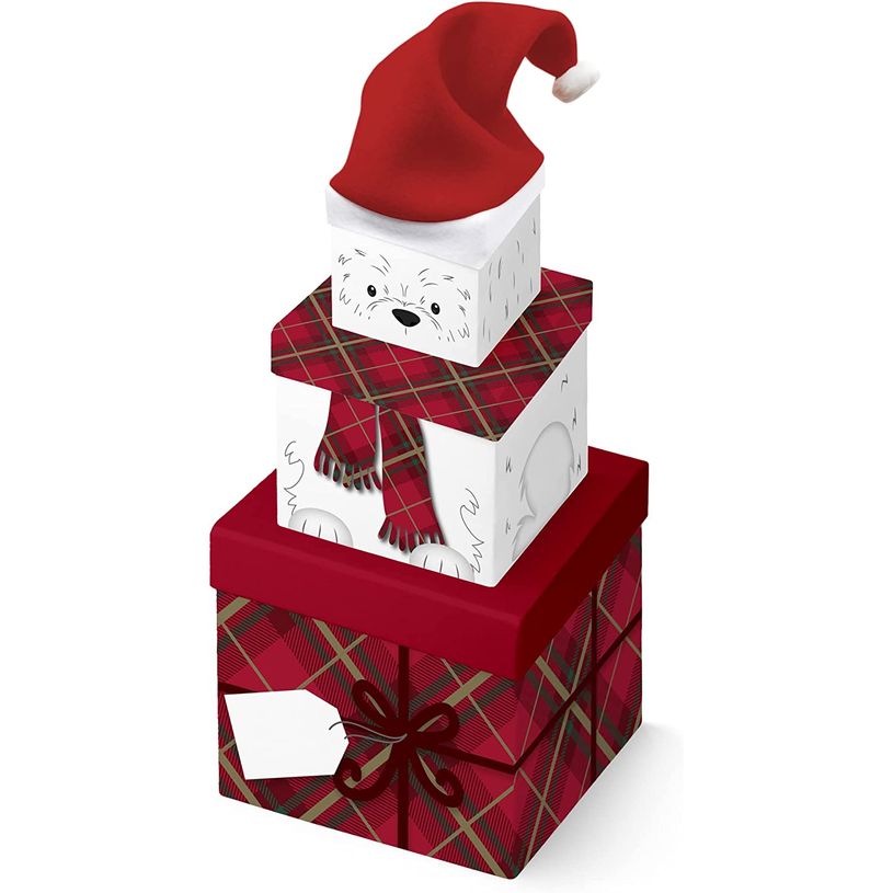 5033601005827-Clairefontaine - Boîtes cadeaux 'Ours polaire' - 3 pièces-P_405124599_1-0