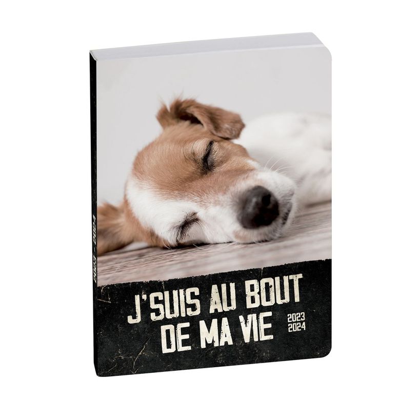 3660942079709-Agenda Funny Pets - 1 jour par page - 12 x 18 cm - chiot - Exacompta-P_405128530_1-0