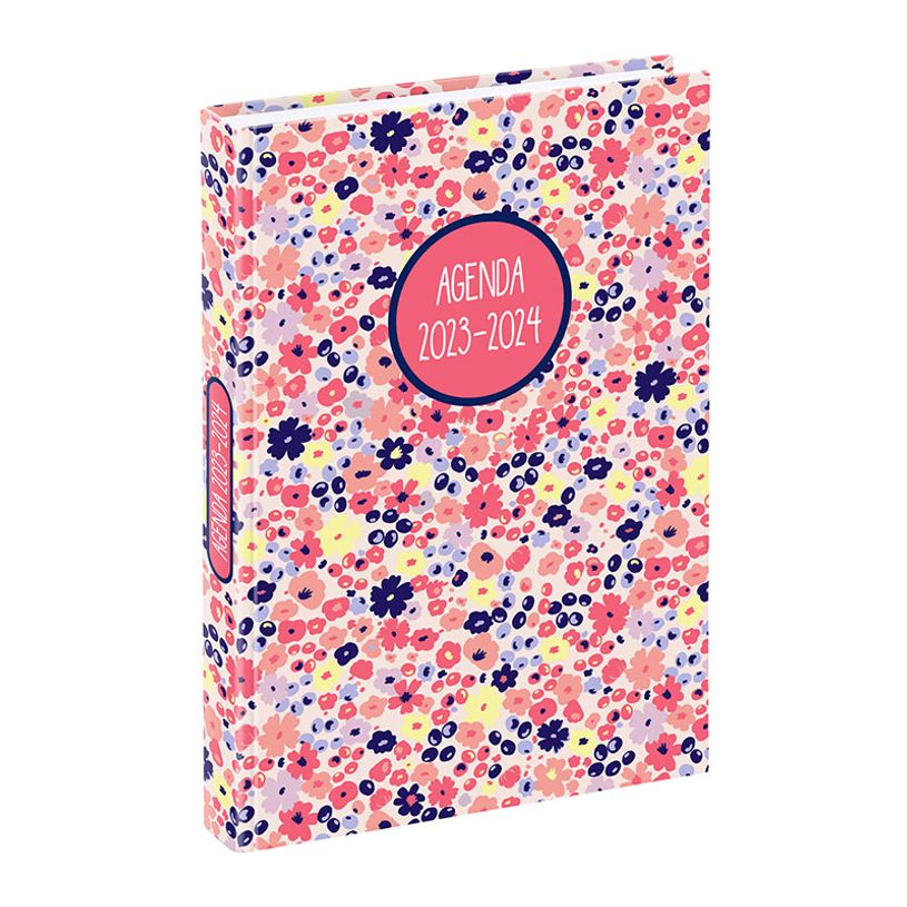 3135257452986-Agenda Liberty - 1 jour par page - 12 x 17 cm - rose ou bleu - Viquel-P_405128685_3-2