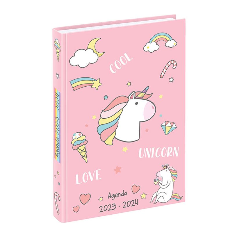 3135257453136-Agenda Bubbles - 1 jour par page - 12 x 17 cm - rose ou bleu - Viquel-P_405128686_2-1