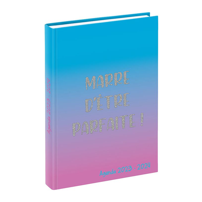3135257453273-Agenda Humour Pailleté - 1 jour par page - 12 x 17 cm - 2 modèles disponibles - Viquel-P_405128692_2-1
