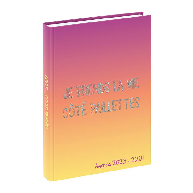 3135257453273-Agenda Humour Pailleté - 1 jour par page - 12 x 17 cm - 2 modèles disponibles - Viquel-P_405128692_3-2
