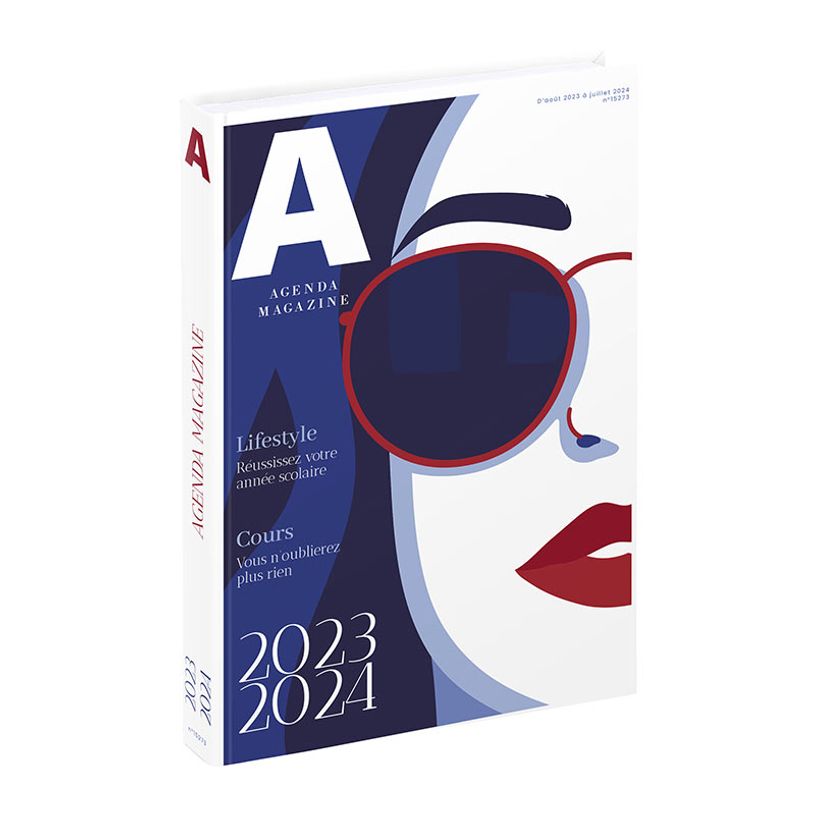 3135257453457-Agenda Magazine - 1 jour par page - 12 x 17 cm - bleu ou gris - Viquel-P_405128697_2-1