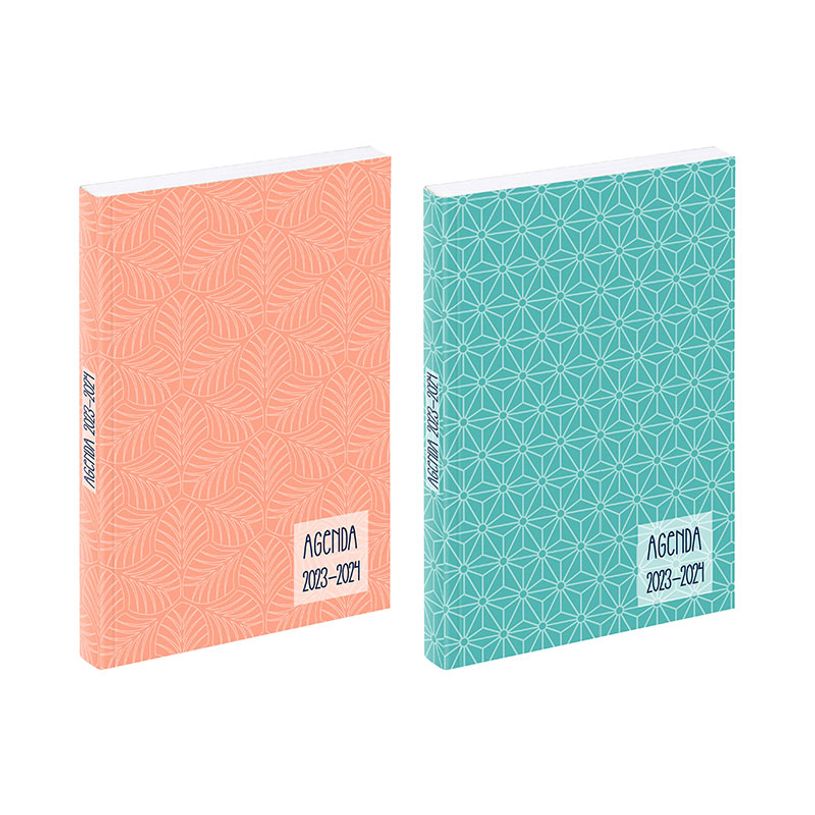 3135257463210-Agenda Art Déco - 1 jour par page - 12 x 17 cm - turquoise ou rose - Viquel-P_405128698_1-0