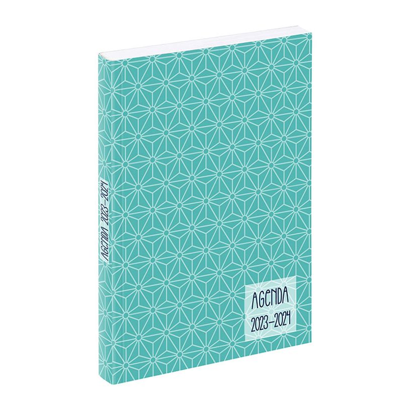 3135257463210-Agenda Art Déco - 1 jour par page - 12 x 17 cm - turquoise ou rose - Viquel-P_405128698_2-1