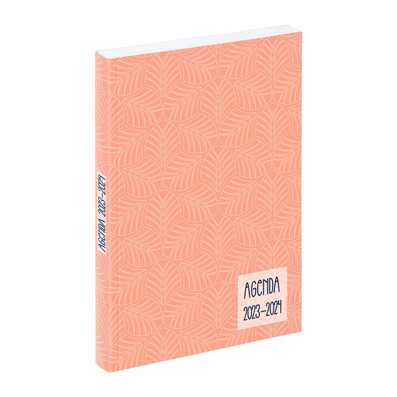 3135257463210-Agenda Art Déco - 1 jour par page - 12 x 17 cm - turquoise ou rose - Viquel-P_405128698_3-2