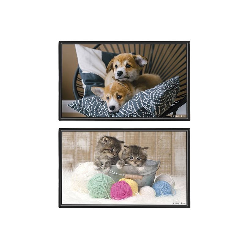 3135251306094-Viquel Fantaisie Animaux - Sous-main - 59,5 x 36,2 cm - PVC - Chatons / Chiots-P_405128741_3-0