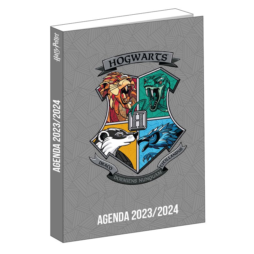 3666311008004-Agenda Harry Potter - 1 jour par page - 12 x 17 cm - gris - Bagtrotter-P_405129039_1-0
