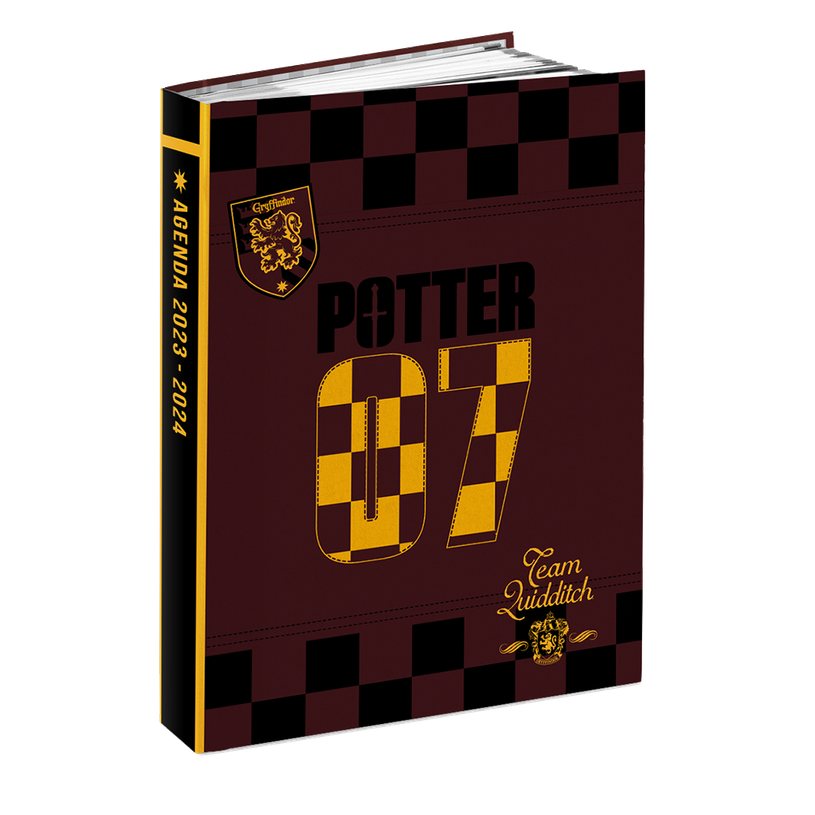 3661507515793-Agenda Premium Harry Potter - 1 jour par page - 12 x 17 cm - différents modèles disponib-P_405129247_1-0